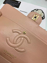Chanel Double Flap Pink Bag with Silver or Glod Hardware 25cm - 2