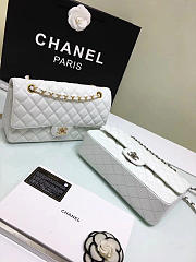 Chanel Double Flap White Bag with Silver or Glod Hardware 25cm - 5