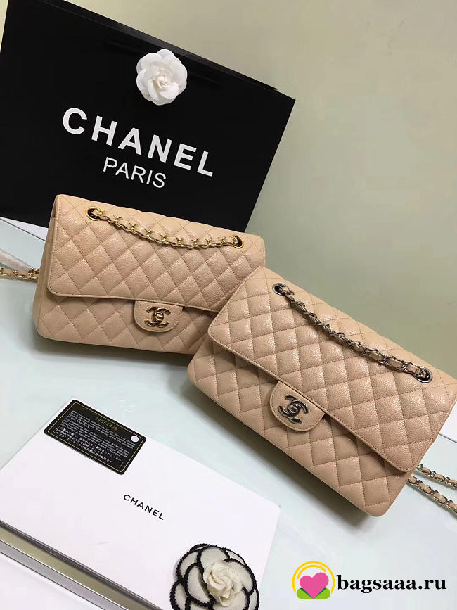 Chanel Double Flap Nude Bag with Silver or Glod Hardware 25cm - 1