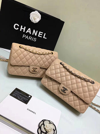 Chanel Double Flap Nude Bag with Silver or Glod Hardware 25cm