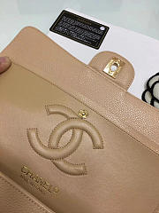 Chanel Double Flap Nude Bag with Silver or Glod Hardware 25cm - 2