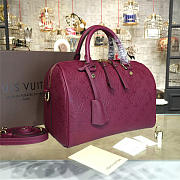 Louis Vuitton SPEEDY Bag with Wine Red 30cm - 5