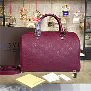 Louis Vuitton SPEEDY Bag with Wine Red 30cm - 3