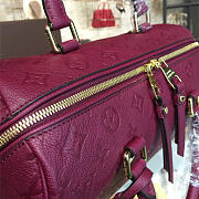 Louis Vuitton SPEEDY Bag with Wine Red 30cm - 2