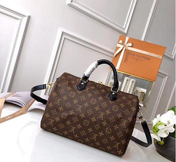Louis Vuitton SPEEDY Bag with Monogram 30cm