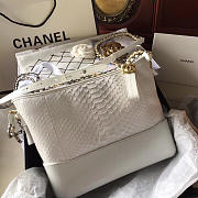 Chanel Gabrielle Snakeskin small hobo bag White 20cm - 3