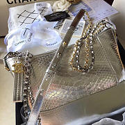 Chanel Gabrielle Snakeskin small hobo bag Silvery 20cm - 3