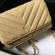 Chanel Flap Bag Calfskin Leather Apricot with Gold Hardware - 3