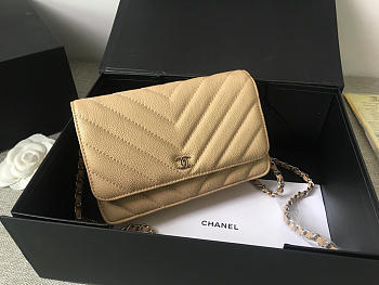 Chanel Flap Bag Calfskin Leather Apricot with Silver Hardware