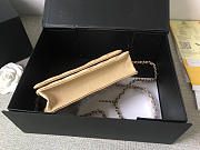 Chanel Flap Bag Calfskin Leather Apricot with Silver Hardware - 6
