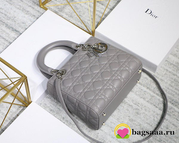 Dior Lady Gray Handbag With Silver Hardware 24CM - 1