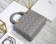 Dior Lady Gray Handbag With Gold Hardware 24CM - 5