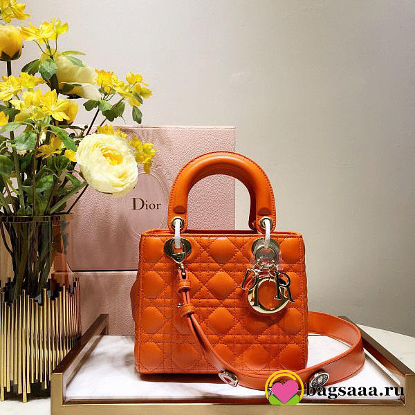 Dior Lady Dior Leather Orange Handbag 20CM - 1