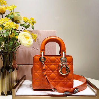 Dior Lady Dior Leather Orange Handbag 20CM