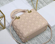 Dior Lady Light Pink Handbag With Gold Hardware 24CM - 6