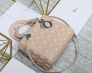 Dior Lady Light Pink Handbag With Silver Hardware 24CM - 1
