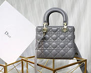 Dior Lady Lambskin Gray Handbag with Gold Hardware 20CM - 6