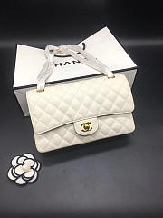 Chanel Flap Bag Caviar in White 25cm with Gold Hardware - 1