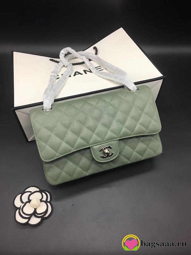 Chanel Flap Bag Caviar in Light Green 25cm with Silver Hardware - 1