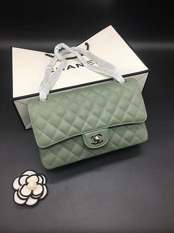 Chanel Flap Bag Caviar in Light Green 25cm with Silver Hardware