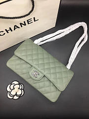 Chanel Flap Bag Caviar in Light Green 25cm with Silver Hardware - 2