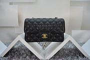 Chanel Flap Bag Caviar in Black 20cm with Gold Hardware - 1