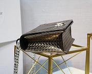 Dior Diorama Cannage Calfskin Bag in Bronze - 2