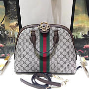 Gucci Ophidia medium top handle bag in Khaki - 4