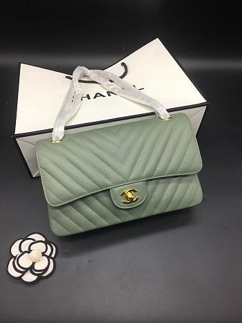 Chanel Flap Bag Caviar Light Green Bag 25cm with Gold Hardware