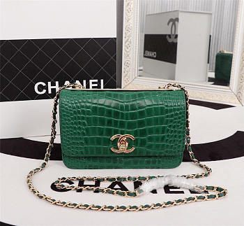 Chanel women Lambskin Leather Handbag Green
