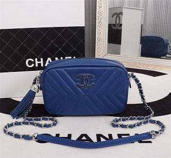 Chanel Camera Case Handbag Blue