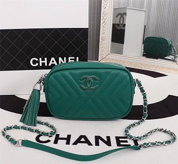 Chanel Camera Case Handbag Green