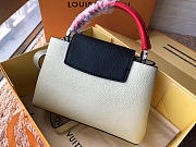 Louis Vuitton Leather Capucines Bag N94519 Beige - 2