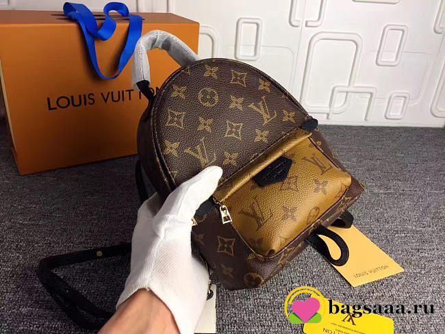 Louis Vuitton Palm Springs monogram canvas Mini Backpack M41562 - 1