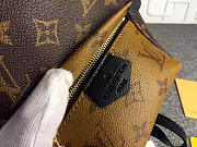 Louis Vuitton Palm Springs monogram canvas Mini Backpack M41562 - 3