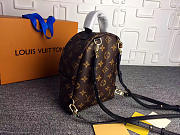 Louis Vuitton Palm Springs Mini Leather Backpack M41562 - 6