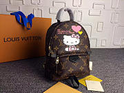 Louis Vuitton Palm Springs Mini Leather Backpack M41562 - 5