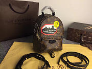 Louis Vuitton Palm Springs Mini  Canvas Leather Backpack M41562 - 1