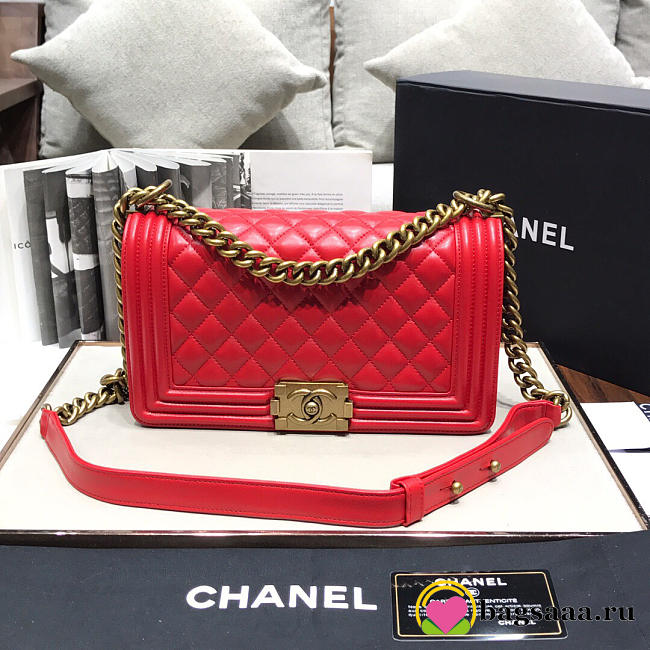 Chanel Leboy lambskin Bag in Red 67086 - 1