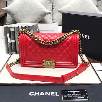 Chanel Leboy lambskin Bag in Red 67086