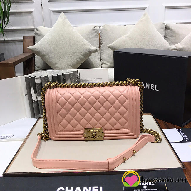 Chanel Leboy lambskin Bag in Pink 67086 - 1