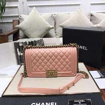 Chanel Leboy lambskin Bag in Pink 67086