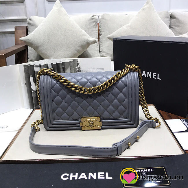 Chanel Leboy lambskin Bag in Gray 67086 - 1