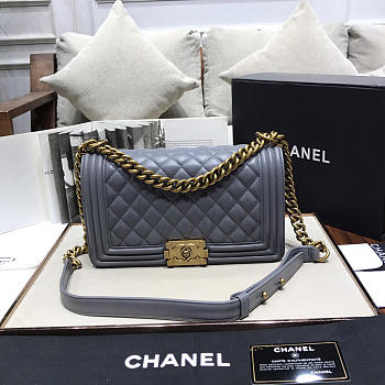 Chanel Leboy lambskin Bag in Gray 67086