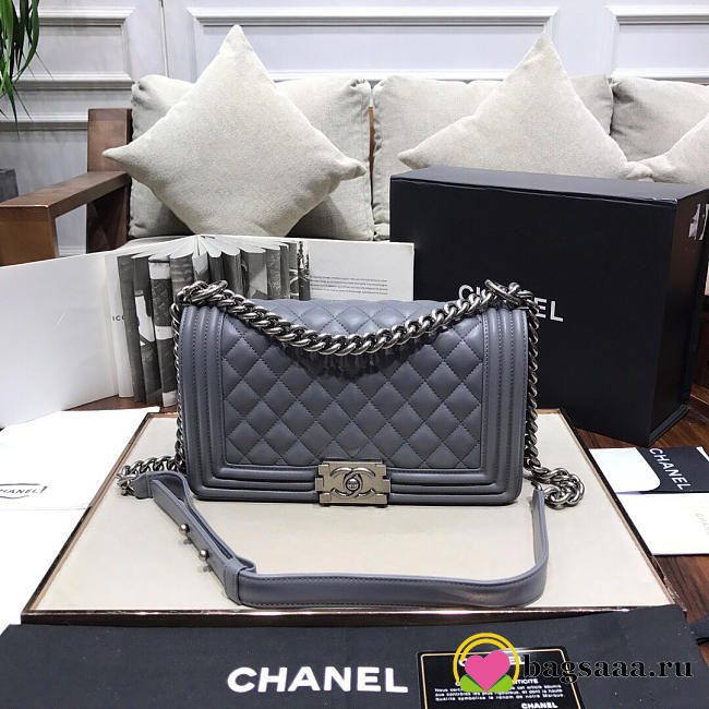 Chanel Leboy lambskin Bag in Gray With Silver Hardware 67086 - 1