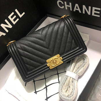 Chanel Leboy Calfskin Bag in Black with Gold Hardware 67086