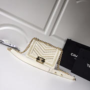 Chanel leboy calfskin bag in beige with gold hardware 20cm - 1