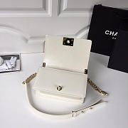 Chanel leboy calfskin bag in beige with gold hardware 20cm - 4