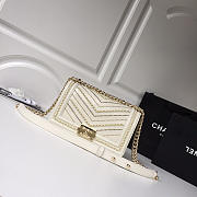 Chanel leboy calfskin bag in beige with gold hardware 25cm - 1