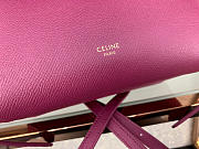 Celine Micro Belt Bag In Grained Calfskin 20cm 175519 - 5